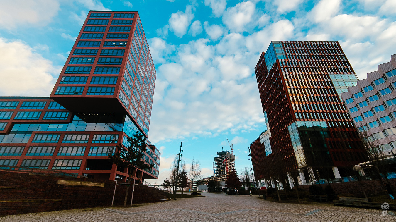 Geographie-Wettbewerb 2026: Nachhaltig handeln – Zukunft gestalten